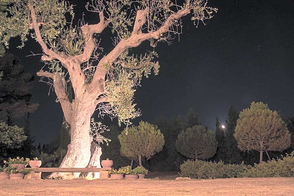 Masseria Fracchicchi