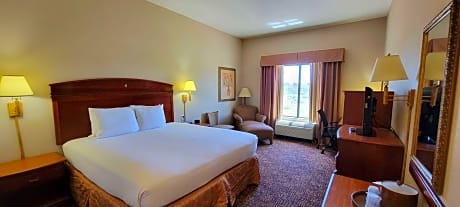 King Room with Mobility Accessible Roll-In Shower