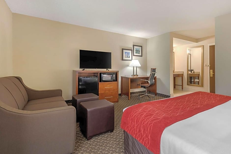 Comfort Inn South