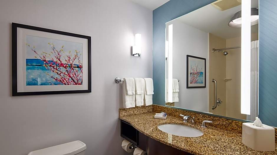 Hilton Garden Inn Merrillville