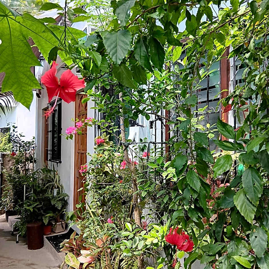 Susing Seaside Guesthouse