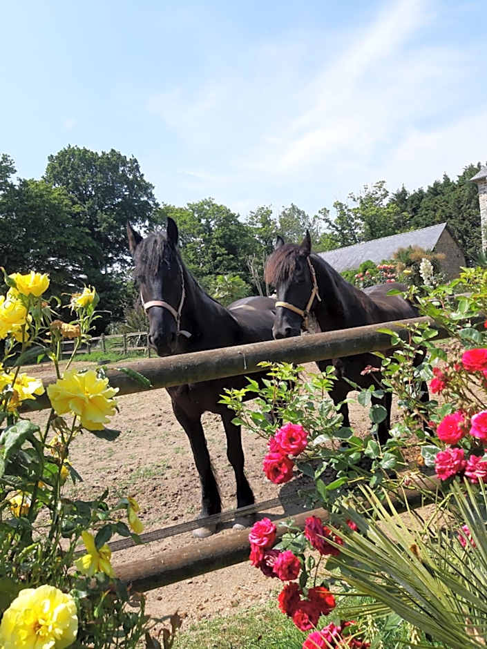 Manoir de la Peignie