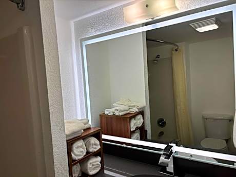 1 King Bed, Nonsmoking