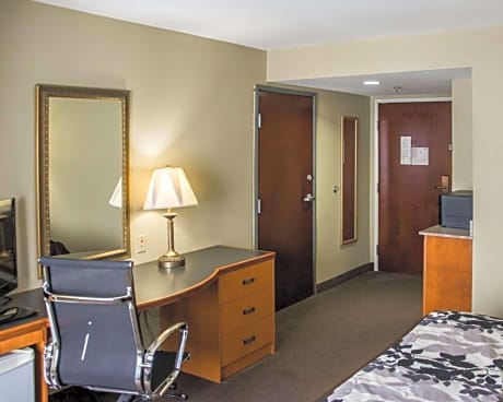 1 King Bed, Business Room, Efficiency, Suite, Nonsmoking