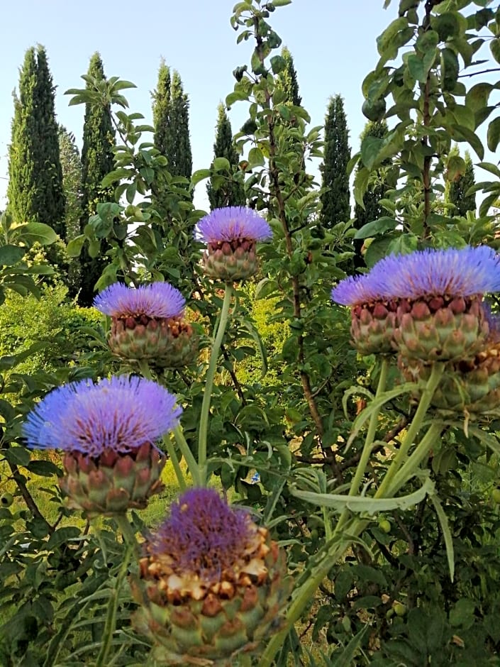 B&B La Giara di Assisi