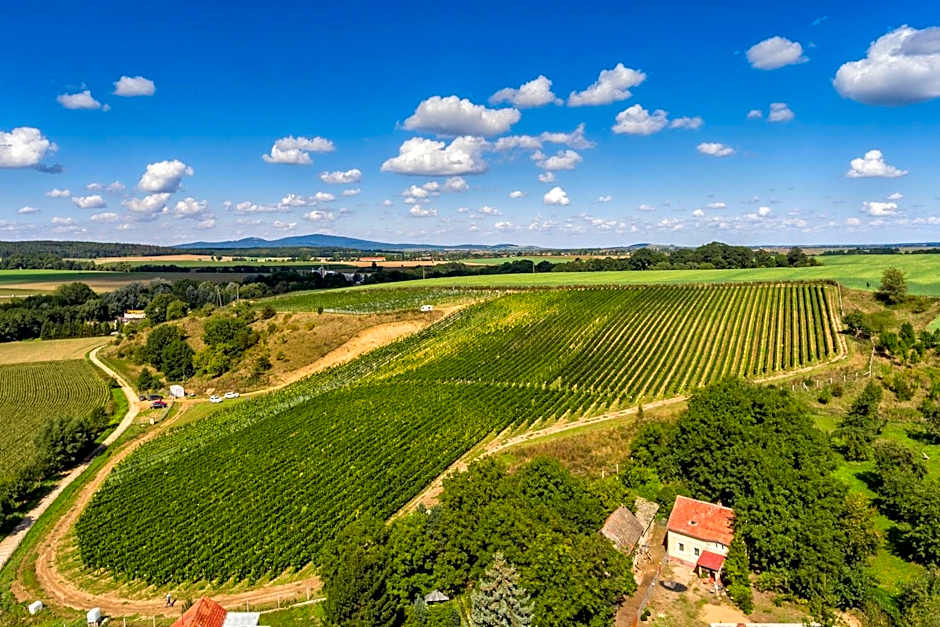 Hotel Niemcza Wino & Spa