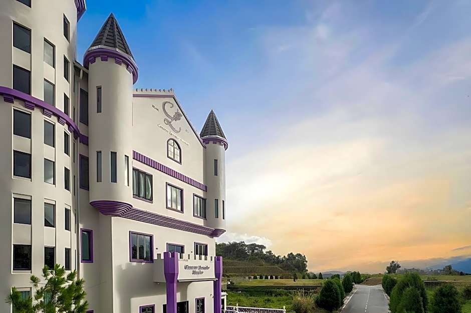 Cameron Lavender Mansion by PLAY