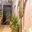 Dar Beija