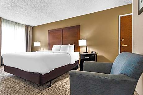 1 King Bed Nonsmoking