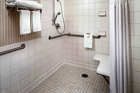 1 King Bed Mobility/Hearing Accessible Room Roll-In Shower Non-Smoking