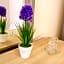 Hostal Barcelona Travel