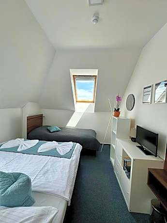 Triple Room with Shared Bathroom