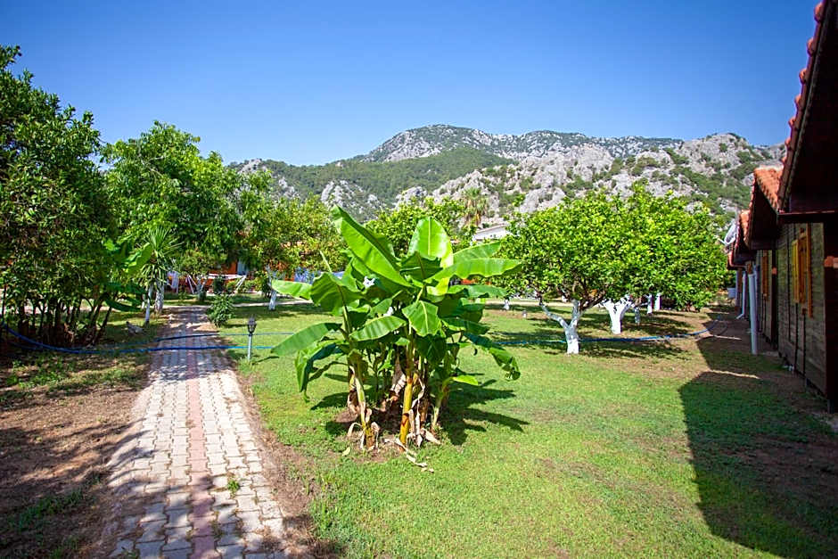 Baris Pension & Bungalows
