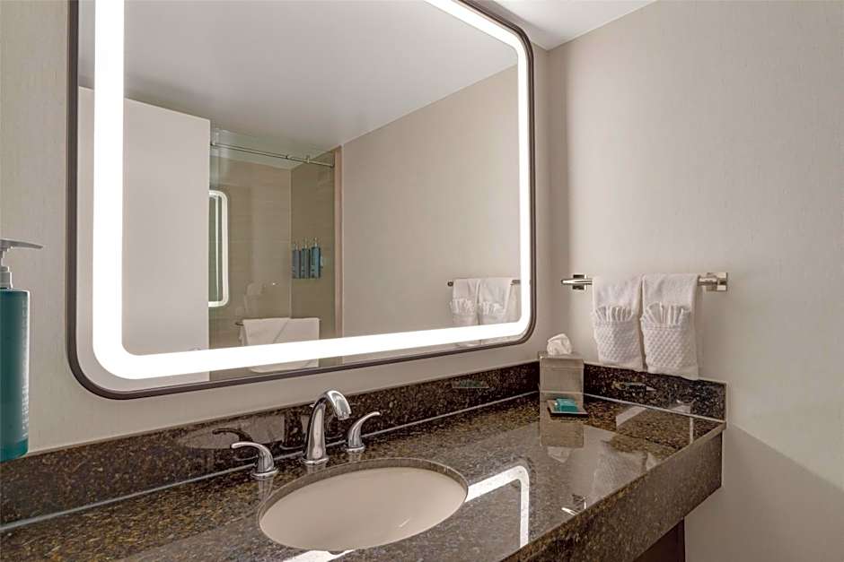 Hilton Crystal City At Ronald Reagan National Airport