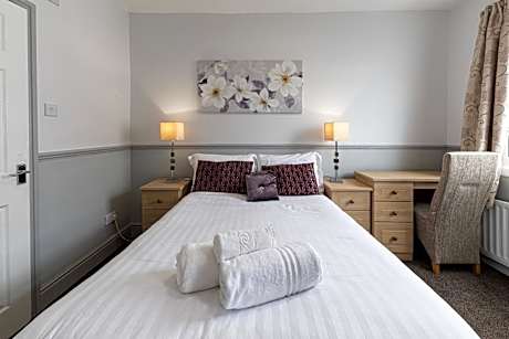 Family Room (Basement)