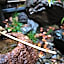 Ryokan Tori