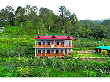 Cortland Jungle Resort