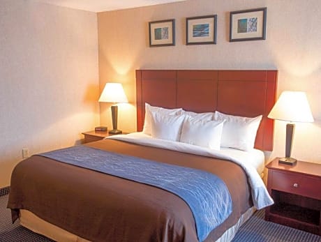 1 King Bed, Non-Smoking
