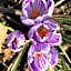 Wynberg House Bed & Breakfast Swansea
