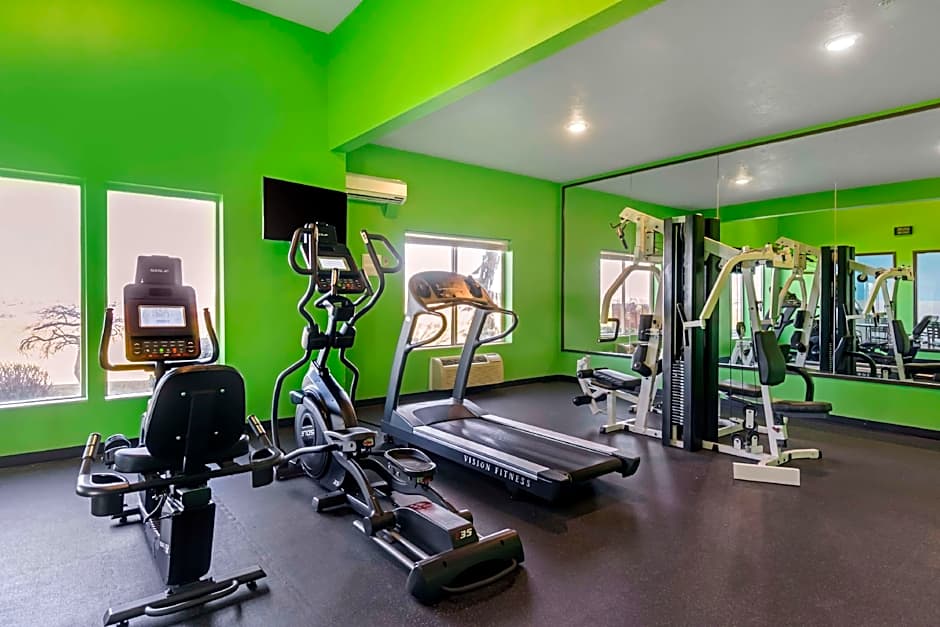Best Western Plus Grapevine Inn