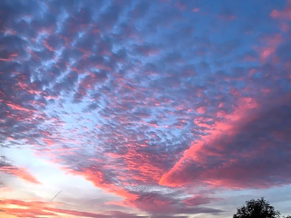 Bybrook Barn Bed & Breakfast