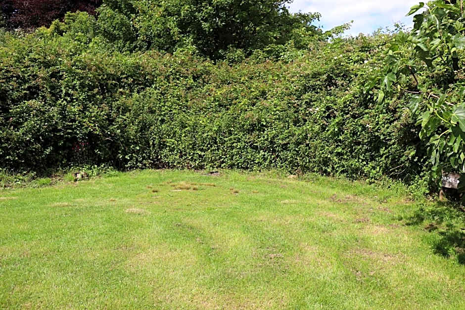 South Downs Eco Lodge & Camping