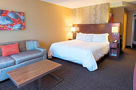 King Room with Sofa Bed and Adapted Tub - Mobility and Hearing Accessible