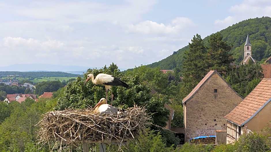 Hôtellerie du Couvent Oberbronn