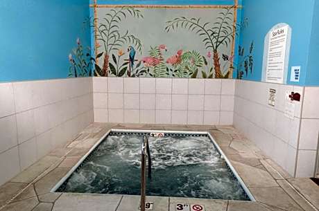 Holiday Inn Express Hotel & Suites Bloomington-Normal University Area By IHG