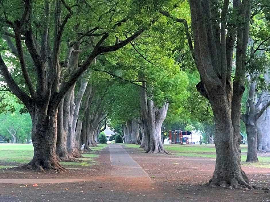 Comfort Inn Grammar View