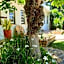 KaapsePracht Bed & Breakfast