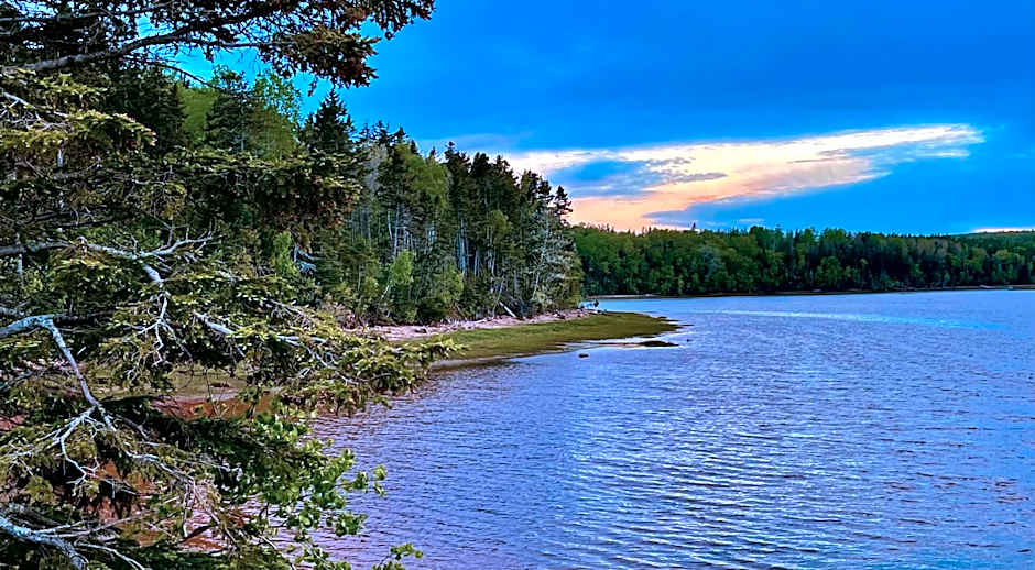 Charlotte's Rose Inn