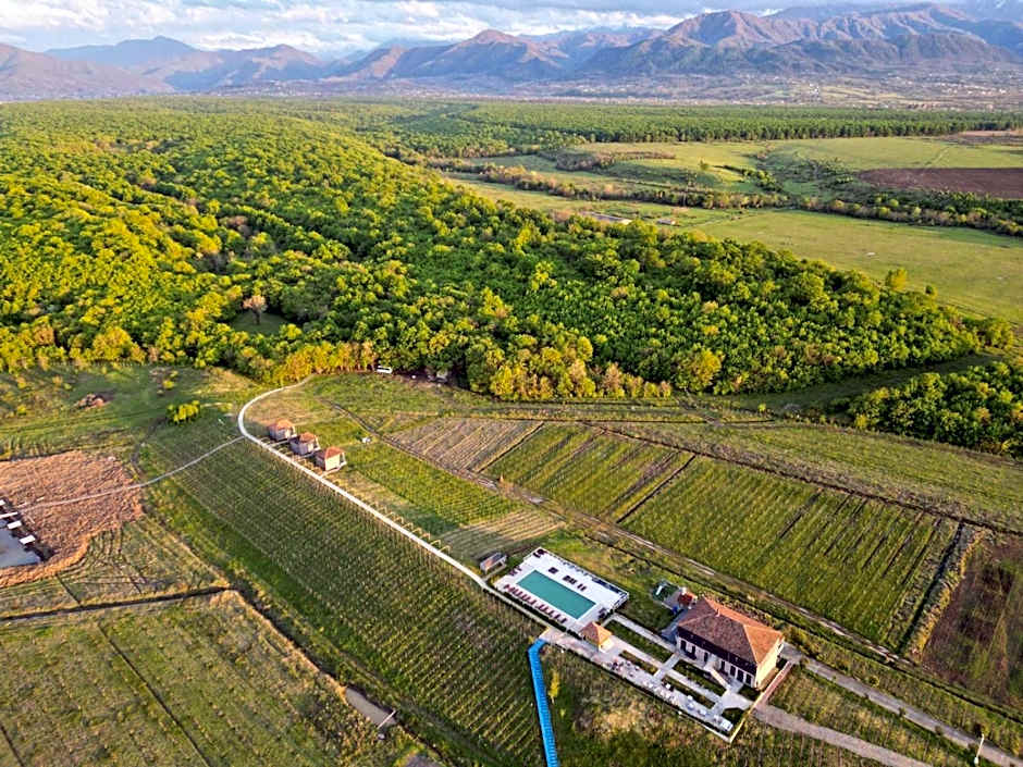 Chateau Vartsikhe