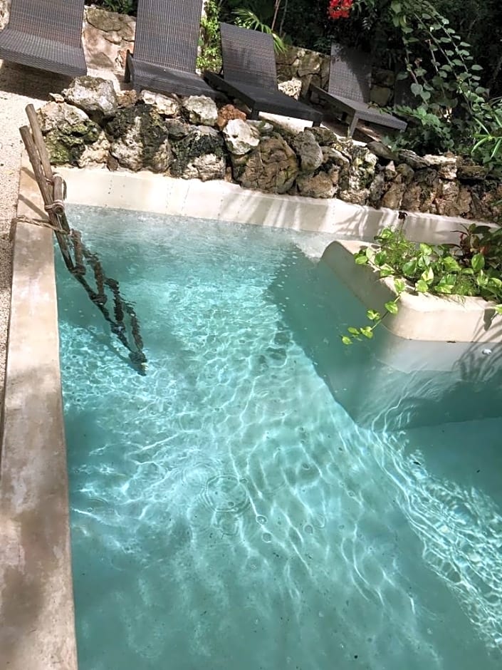 Hotel Buenavista Bacalar Jungle Experience