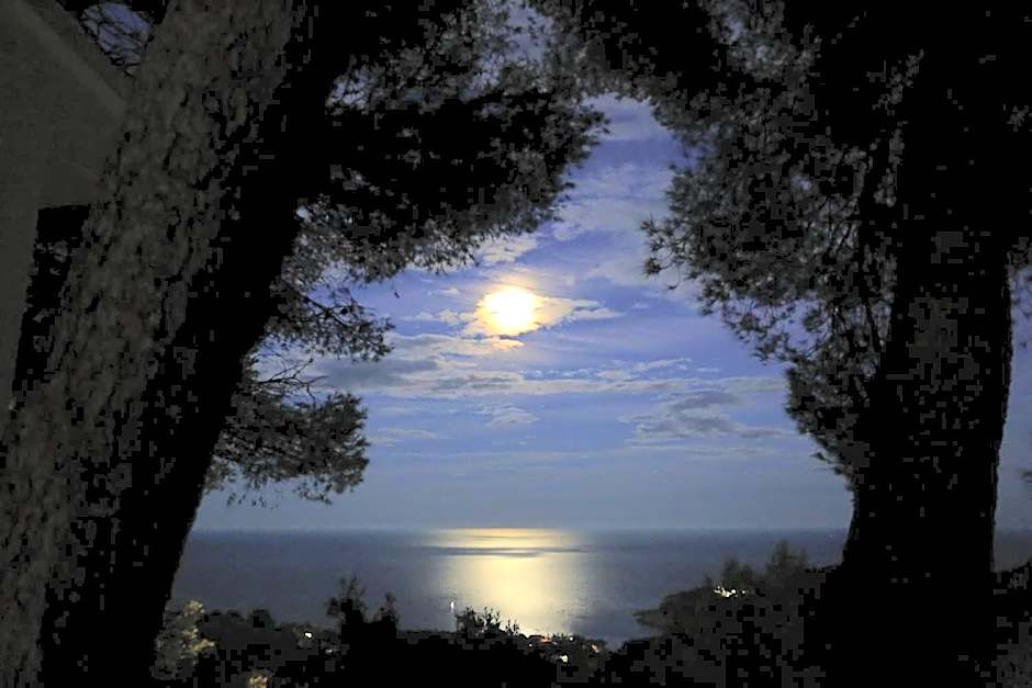 Hostal Sa Barraca - Adults Only