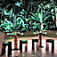 Hollywood Volume, a Tribute Portfolio Hotel