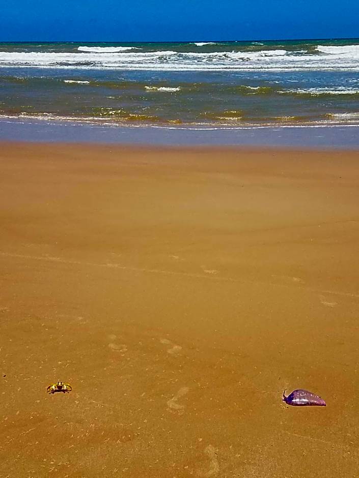 Pousada Aquarela De Imbassaí