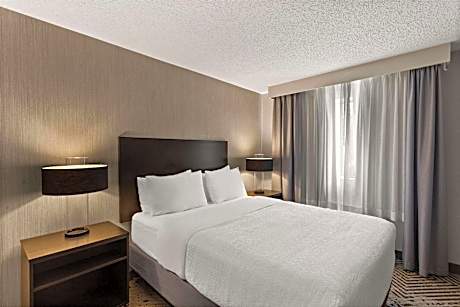 1 Queen Bed 1-Bedroom Suite Non-Smoking