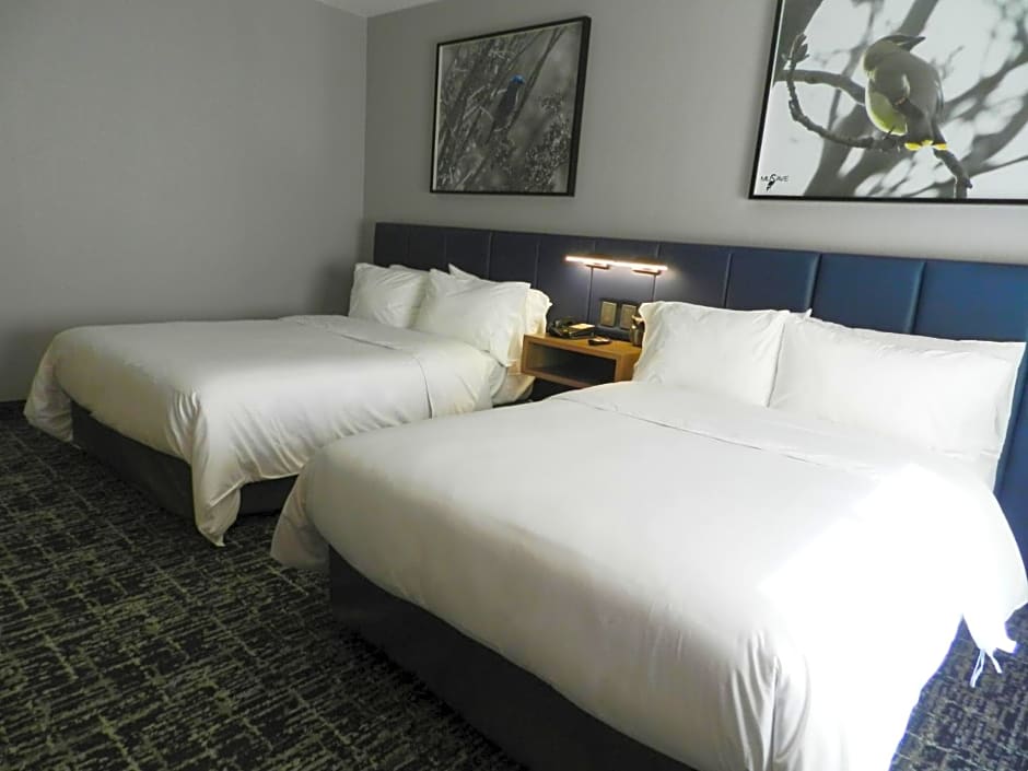voco Saltillo By IHG