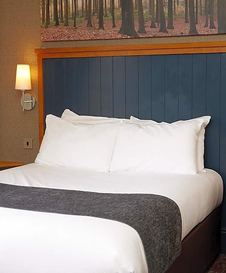 White Rabbit by Chef & Brewer Collection