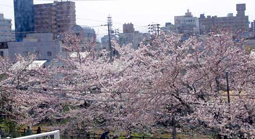 Tottori City Hotel