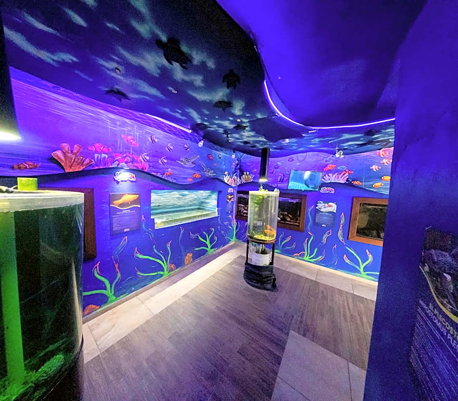 Splash Inn Nuevo Vallarta & Parque Acuatico