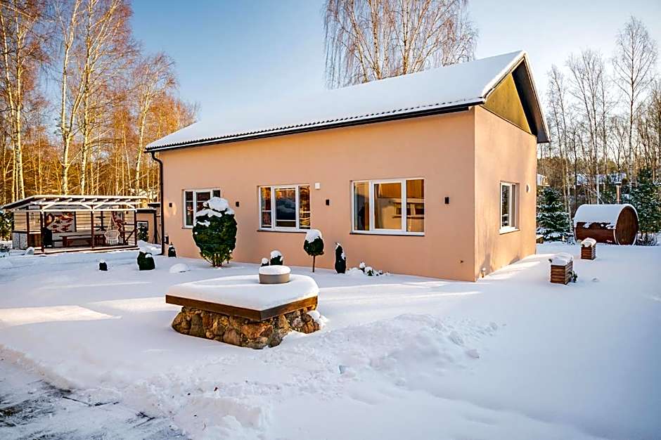 Elva Majutus - Puhkemaja - Hot Tub l Sauna l BBQ
