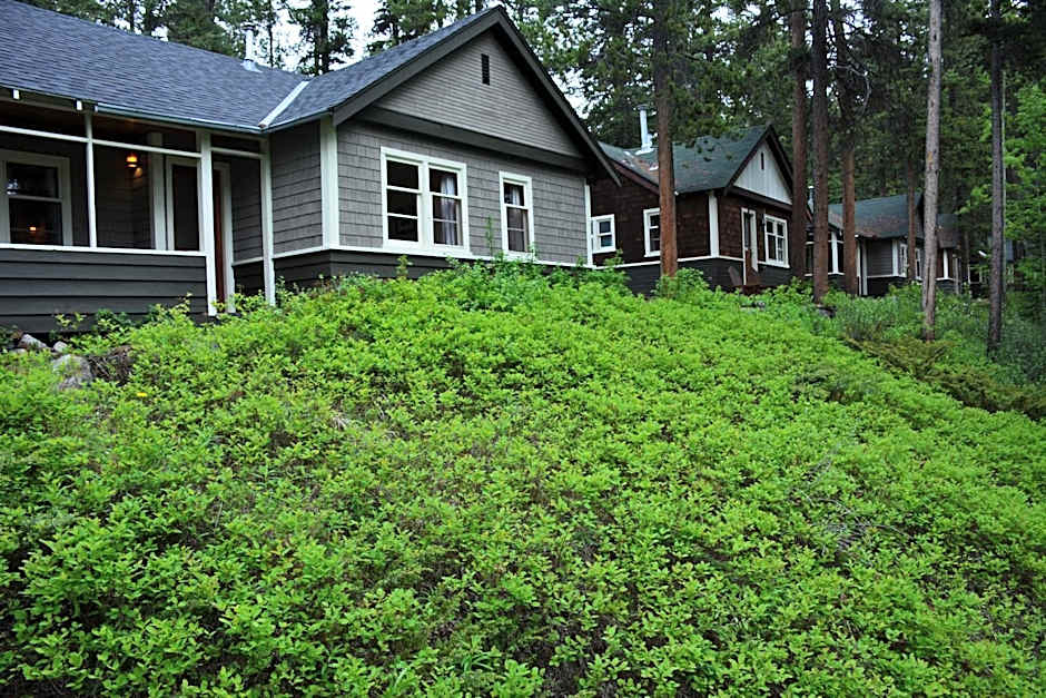Johnston Canyon Lodge & Bungalows