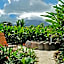 Volcano Lodge, Hotel & Thermal Experience