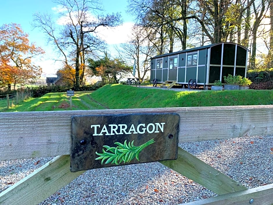 Luxury Shepherds Hut with Superb Views & Fire Pit & walking distance to a superb Gastro Pub