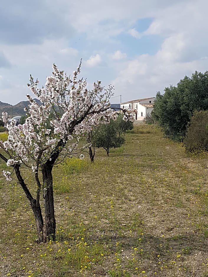 Cortijo Esperanza