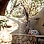 LittleBush Private Lodge