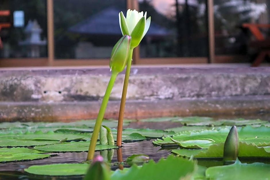 The Green Koh Phangan
