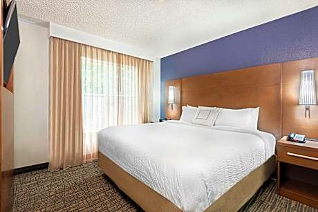 2 Bedroom Suite, Bedroom 1: 1 King, Bedroom 2: 1 Queen, Sofa Bed, Fireplace